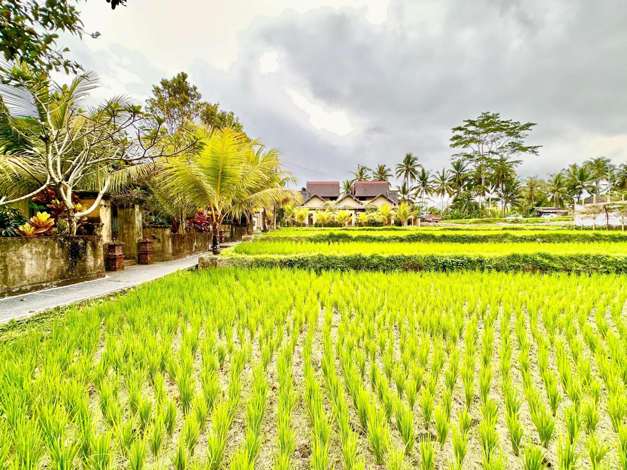 Dupa Ubud Exterior photo