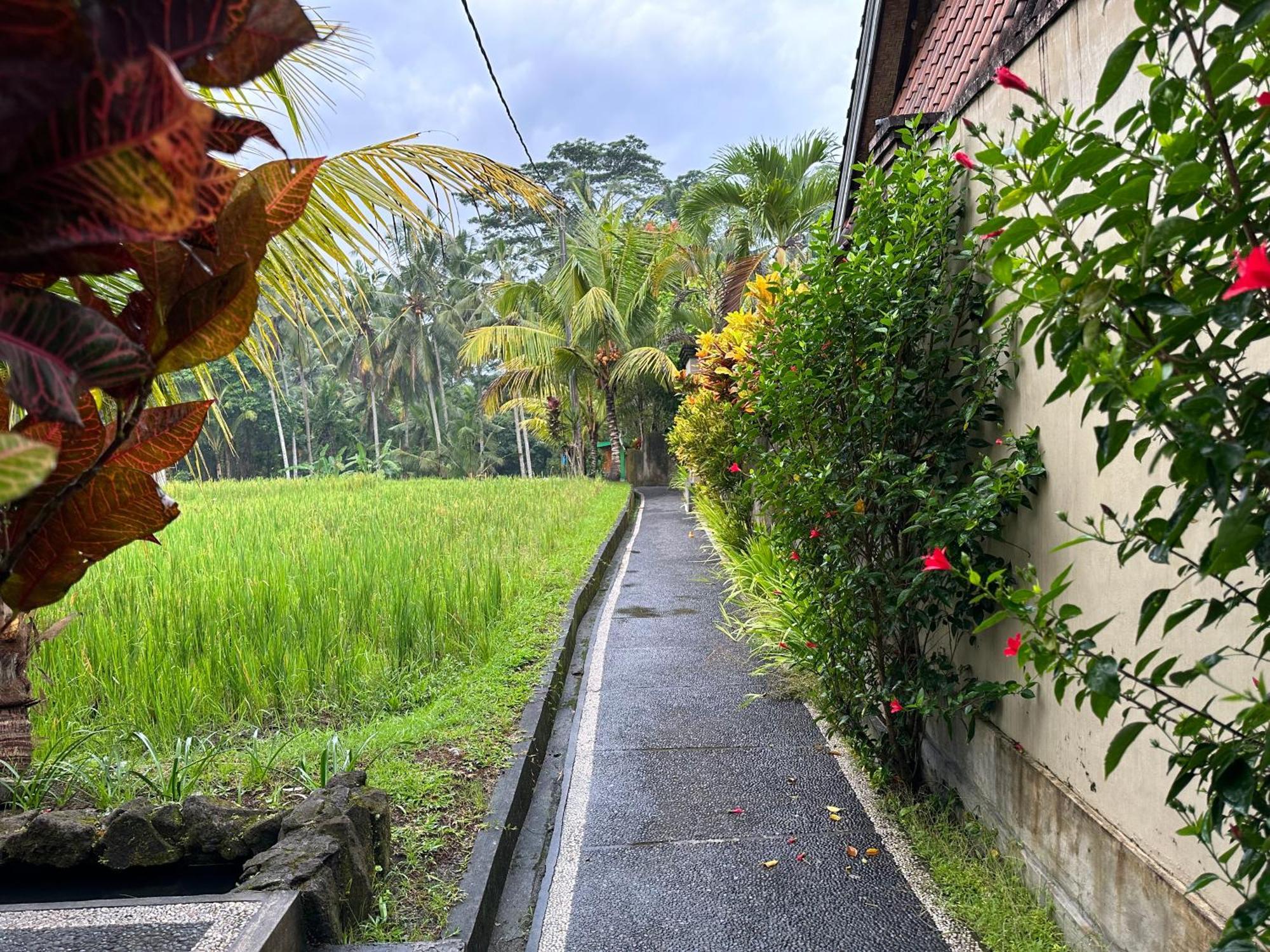 Dupa Ubud Exterior photo