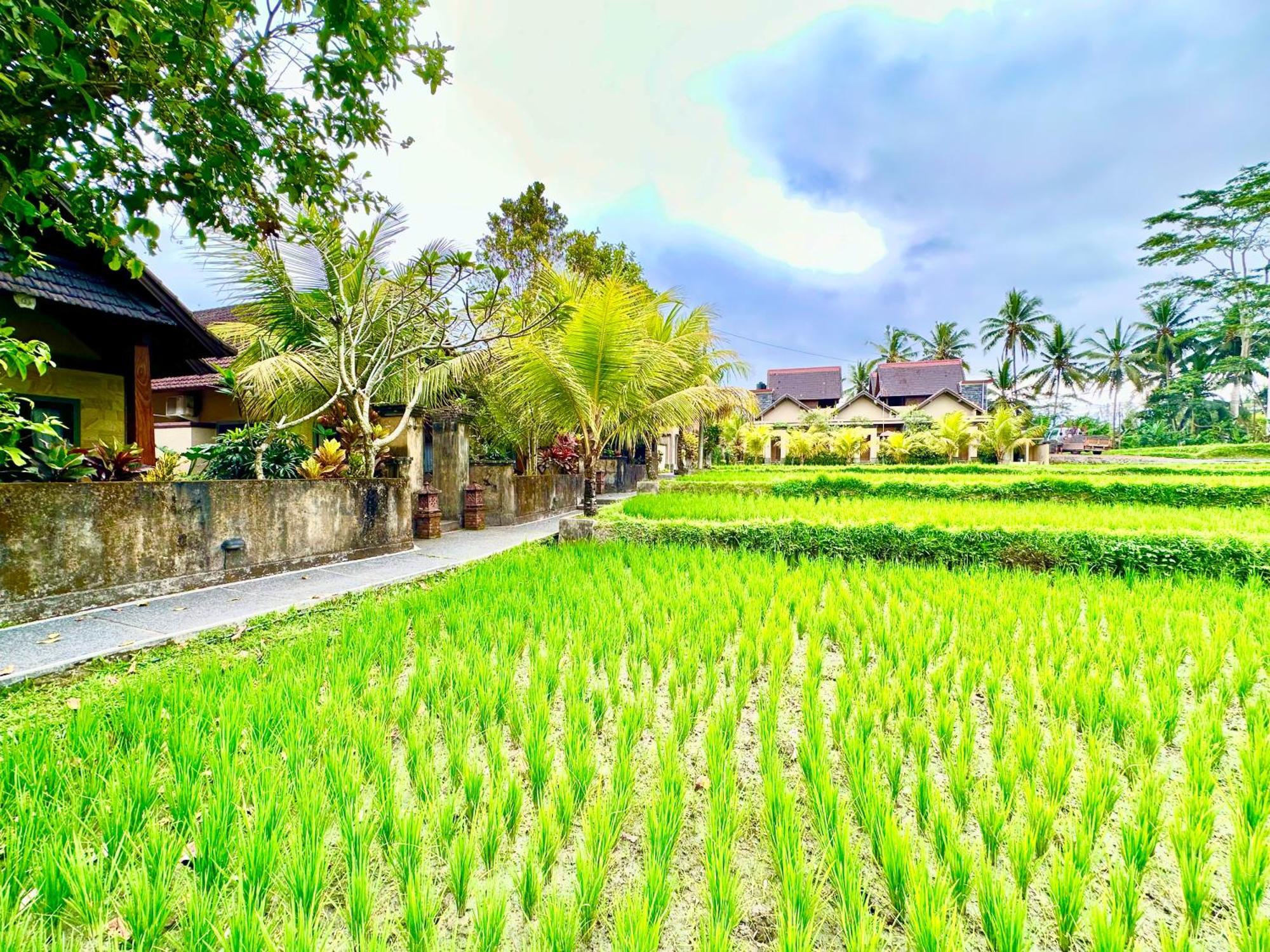Dupa Ubud Exterior photo