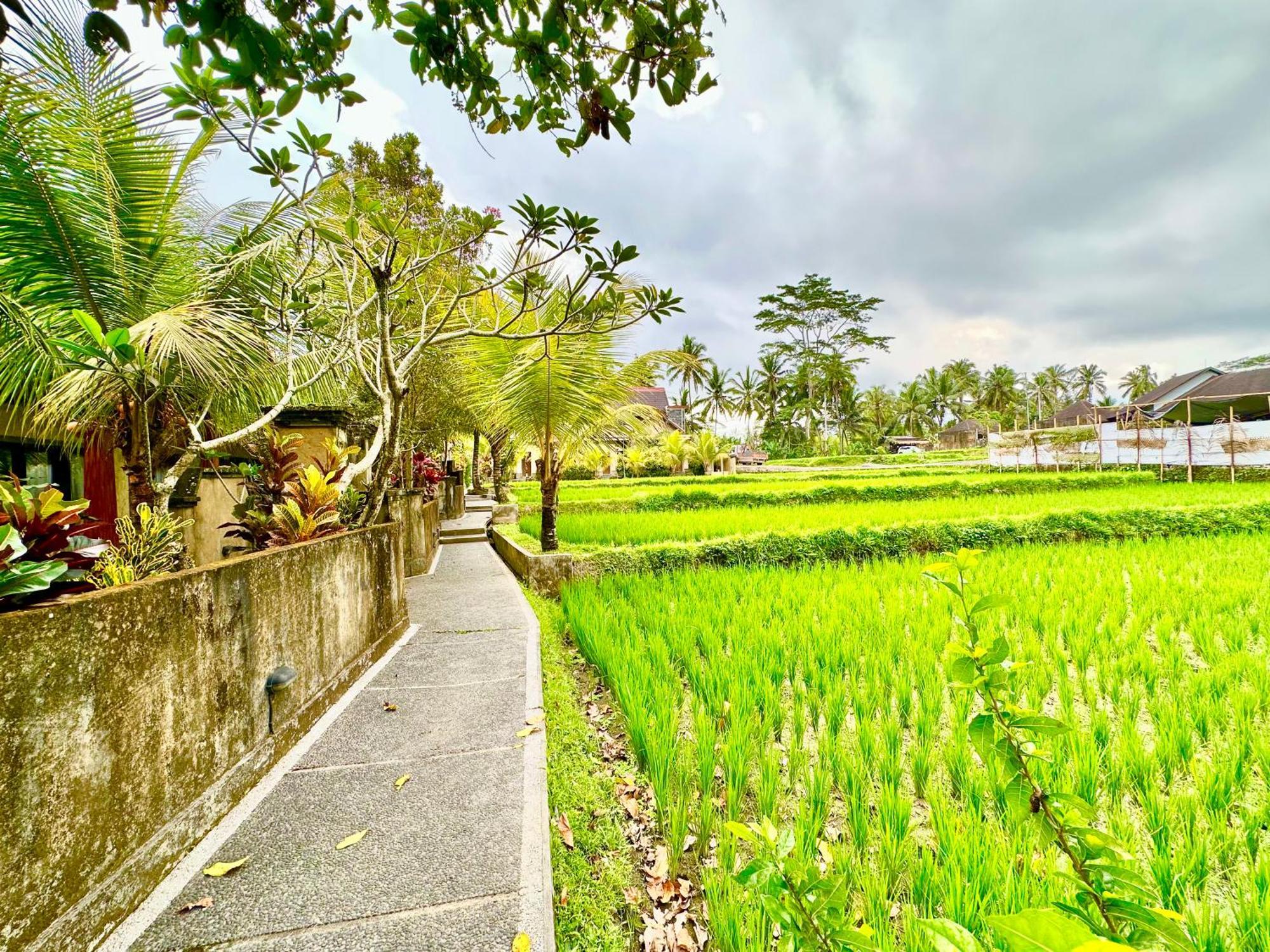 Dupa Ubud Exterior photo