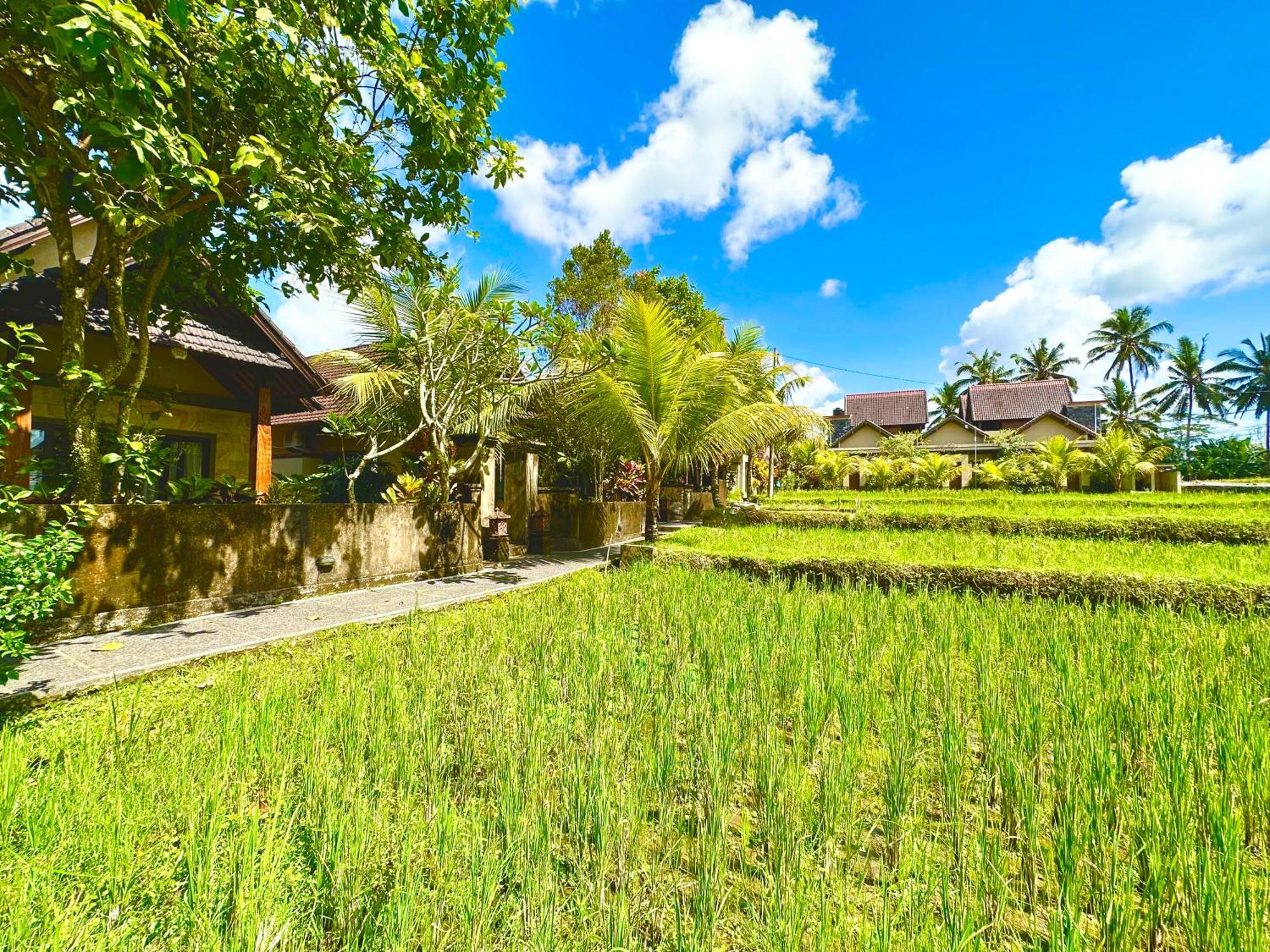 Dupa Ubud Exterior photo